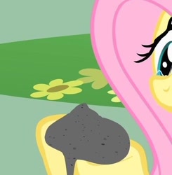 Size: 394x402 | Tagged: safe, screencap, fluttershy, philomena, pegasus, phoenix, pony, a bird in the hoof, g4, offscreen character