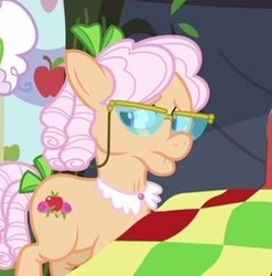 Size: 268x271 | Tagged: safe, screencap, apple rose, earth pony, pony, apple family reunion, g4, female, frown, glasses, mare, offscreen character, quilt, solo focus