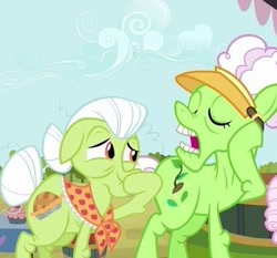 Size: 387x360 | Tagged: safe, screencap, auntie applesauce, granny smith, earth pony, pony, apple family reunion, g4, cropped, duo, female, mare, open mouth, visor cap