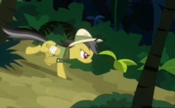 Size: 448x278 | Tagged: safe, screencap, daring do, pegasus, pony, g4, read it and weep, bandage, bandaged wing, cropped, running, solo, wings