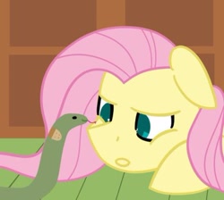 Size: 400x359 | Tagged: safe, artist:fluttershydaily, fluttershy, snake, g4, bandaid, fluttershy's cottage, lying on the floor, simple background, talking