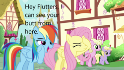 Size: 1280x720 | Tagged: safe, edit, edited screencap, screencap, dinky hooves, fluttershy, rainbow dash, earth pony, pegasus, pony, unicorn, flutter brutter, g4, my little pony: friendship is magic, caption, eyes closed, facehoof, female, filly, foal, image macro, mare, text, wtf