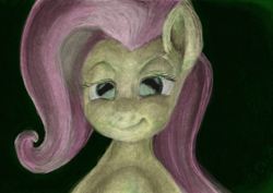 Size: 1600x1133 | Tagged: safe, artist:obsequiosity, fluttershy, pegasus, pony, g4, female, solo