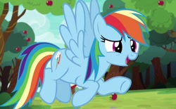 Size: 648x401 | Tagged: safe, screencap, rainbow dash, pegasus, pony, buckball season, g4, apple, food, solo