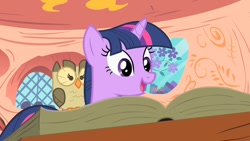 Size: 1280x720 | Tagged: safe, screencap, owlowiscious, twilight sparkle, bird, owl, pony, unicorn, g4, owl's well that ends well, book, golden oaks library, unicorn twilight