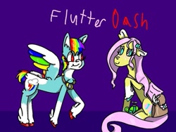 Size: 703x530 | Tagged: safe, artist:thebagelghost, fluttershy, rainbow dash, g4, female, lesbian, ship:flutterdash, shipping, sketch