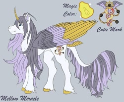 Size: 703x579 | Tagged: safe, oc, pony, concave belly, large wings, long mane, long tail, reference sheet, solo, tail, wings