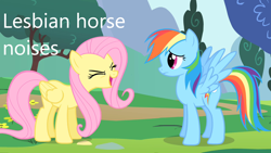 Size: 1280x720 | Tagged: safe, edit, edited screencap, screencap, fluttershy, rainbow dash, pegasus, pony, g4, sonic rainboom (episode), caption, descriptive noise, duo, female, flutteryay, horse noises, image macro, lesbian, ship:flutterdash, shipping, text