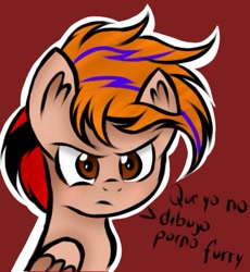 Size: 491x533 | Tagged: safe, artist:musicrouse, oc, oc only, oc:fededash, pegasus, pony, angry, brown eyes, looking at you, pegasus oc, simple background, spanish, spanish text, text