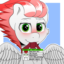 Size: 2000x2000 | Tagged: safe, artist:h3nger, oc, oc:swift apex, pegasus, pony, blushing, high res, horny on main, id card, implied shipping, pegasus oc, simple background, solo, spread wings, wings