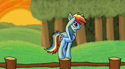 Size: 781x433 | Tagged: safe, artist:tami-kitten, rainbow dash, pegasus, pony, g4, female, fence, forest background, lookout, mare, perching, salute, solo, sunset