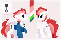 Size: 2048x1346 | Tagged: safe, artist:php146, oc, oc only, oc:swift apex, pegasus, pony, clothes, cutie mark, hoodie, pegasus oc, pose, reference sheet, standing, wonderbolts, zipper