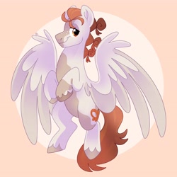 Size: 4096x4096 | Tagged: safe, artist:fizzlefer, oc, oc only, pegasus, pony, solo