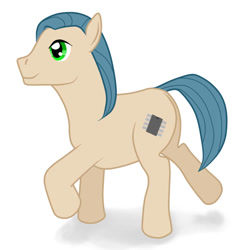Size: 866x914 | Tagged: safe, oc, oc only, unnamed oc, earth pony, pony, male, ponysona, simple background, solo, stallion, white background