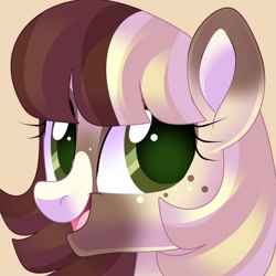 Size: 894x894 | Tagged: safe, artist:fizzlefer, oc, oc only, earth pony, pony, bust, simple background, solo