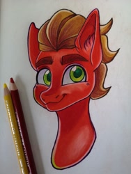 Size: 1536x2048 | Tagged: safe, artist:art_alanis, sprout cloverleaf, earth pony, pony, g5, bust, male, solo, stallion, traditional art