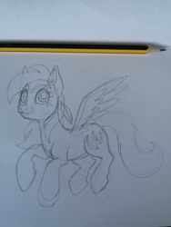 Size: 1536x2048 | Tagged: safe, artist:art_alanis, feathermay, pegasus, pony, g4, solo, traditional art