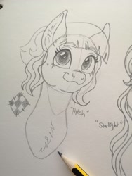 Size: 1536x2048 | Tagged: safe, artist:art_alanis, patch (g1), pony, g1, my little pony tales, solo, traditional art