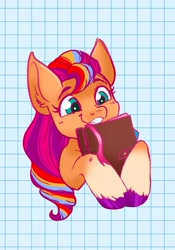 Size: 1431x2048 | Tagged: safe, artist:art_alanis, sunny starscout, earth pony, pony, g5, diary, mane stripe sunny, solo