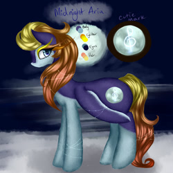 Size: 1024x1024 | Tagged: safe, artist:kinjareta, oc, oc only, oc:midnight aria, bird, penguin, blurry background, female, looking at you, mare, multicolored coat, penguin pony, reference sheet, side view, solo