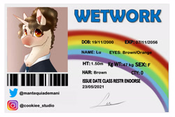 Size: 3000x2000 | Tagged: safe, artist:mantequiademani, oc, oc only, pony, unicorn, high res, id card, solo