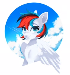 Size: 1922x2048 | Tagged: safe, artist:irusumau, oc, oc only, pegasus, pony, cloud, sky, solo