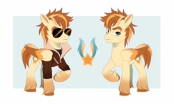 Size: 4096x2436 | Tagged: safe, artist:irusumau, oc, oc only, pony, clothes, glasses, jacket, reference sheet, solo