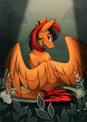 Size: 1398x1949 | Tagged: safe, artist:alrumoon_art, oc, oc only, oc:winged whisper, pegasus, pony, blue eyes, collar, flower, leaves, male, simple background, solo, stallion, tail, two toned mane, two toned tail, wings