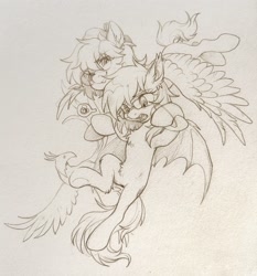 Size: 1788x1920 | Tagged: safe, artist:paipaishuaige, oc, oc:gearf, oc:sunset cloudy, bat pony, pegasus, phoenix, pony, bat pony oc, belly, belly fluff, chest fluff, fangs, flying, glasses, looking at you, monochrome, oc x oc, scared, shipping, sketch, smiling, spread wings, traditional art, trio, wings