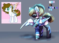 Size: 1500x1100 | Tagged: safe, artist:cofiiclouds, oc, oc only, pegasus, pony, solo