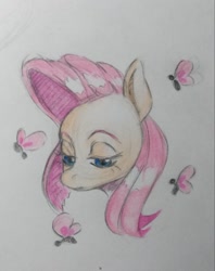 Size: 650x819 | Tagged: safe, artist:kotle1ka, fluttershy, butterfly, g4, simple background, solo, traditional art, white background