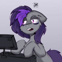 Size: 2000x2000 | Tagged: safe, artist:freak-side, oc, oc only, oc:gray summit, earth pony, pony, computer, high res, looking at something, simple background, solo, tired, working