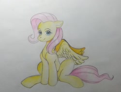 Size: 1157x886 | Tagged: safe, artist:kotle1ka, fluttershy, pegasus, pony, g4, simple background, sitting, solo, traditional art, white background