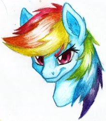 Size: 1564x1783 | Tagged: safe, artist:thatonegib, rainbow dash, pony, g4, bust, colored pencil drawing, ear fluff, female, grin, looking at you, patreon, patreon logo, portrait, smiling, solo, traditional art