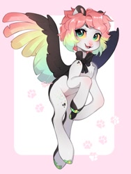 Size: 771x1024 | Tagged: safe, artist:fedos, oc, oc only, pegasus, pony, bow, colored wings, multicolored wings, rainbow wings, solo, wings