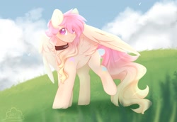 Size: 1600x1100 | Tagged: safe, artist:cofiiclouds, oc, oc only, pegasus, pony, cloud, collar, grass, sky, solo