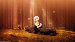 Size: 3840x2160 | Tagged: safe, artist:drakesparkle44, artist:slb94, edit, fluttershy, pegasus, pony, g4, falling leaves, female, forest, high res, irl, leaves, lighting, looking at you, mare, photo, ponies in real life, rock, shadow, sitting, smiling, smiling at you, solo, tree, wallpaper, wallpaper edit, watermark