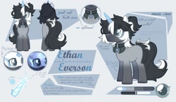 Size: 2400x1400 | Tagged: safe, artist:cofiiclouds, oc, oc only, oc:ethan everson, pony, unicorn, reference sheet, solo