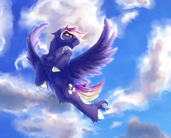 Size: 1540x1242 | Tagged: safe, artist:thatonegib, oc, oc only, pegasus, pony, cloud, commission, flying, looking up, multicolored hair, sky, smiling, solo, spread wings, unshorn fetlocks, wings, ych result