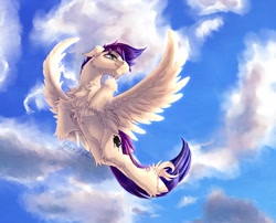 Size: 1540x1242 | Tagged: safe, artist:thatonegib, oc, oc only, pegasus, pony, cloud, commission, flying, looking up, multicolored hair, short mane, sky, smiling, solo, spread wings, unshorn fetlocks, wings, ych result