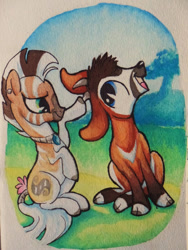 Size: 600x798 | Tagged: safe, artist:peachykeenponies, oc, oc only, oc:bakari, oc:nia, antelope, quagga, zebra, cloven hooves, duo, outdoors, traditional art, watercolor painting