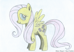Size: 7016x4980 | Tagged: safe, artist:moon flower, fluttershy, butterfly, insect, pegasus, pony, series:moon flower's fluttershy, g4, 2016, absurd resolution, arthropod, colored, colored pencil drawing, cutie mark, drawing, equine, fanart, female, fur, furbooru exclusive, hair, hasbro, hooves, looking at you, mammal, mane, mare, pencil, pencil drawing, pink hair, pink tail, side view, signature, simple background, smiling, solo, spread wings, standing, stock vector, tail, traditional art, tutorial result, white background, wings, yellow fur