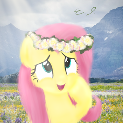 Size: 1080x1080 | Tagged: safe, artist:everydaydashie, fluttershy, pegasus, pony, g4, female, solo