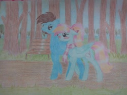 Size: 960x720 | Tagged: safe, artist:dexterisse, oc, oc only, pegasus, pony, female, male, mare, outdoors, pegasus oc, stallion, traditional art, walking