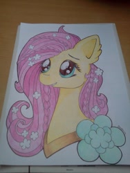 Size: 720x960 | Tagged: safe, artist:dexterisse, fluttershy, pegasus, pony, g4, photo, solo, traditional art