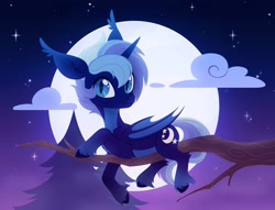 Size: 4000x3060 | Tagged: safe, artist:belka-sempai, oc, oc only, oc:night sky (polak23), bat pony, pony, cloud, horn, moon, solo, tree, tree branch, wings