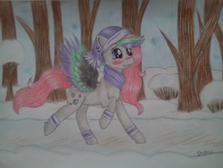 Size: 960x720 | Tagged: safe, artist:dexterisse, oc, oc only, oc:lutineill, pegasus, pony, clothes, outdoors, pegasus oc, scarf, snow, solo, traditional art