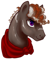 Size: 1427x1654 | Tagged: safe, artist:saby, derpibooru exclusive, oc, oc only, oc:cumulonimbus, pegasus, pony, horse heresy, brown coat, bust, cloak, clothes, curly mane, male, portrait, purple eyes, scarred, smiling, solo, stallion, striped mane