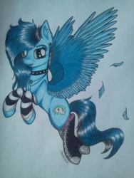 Size: 720x960 | Tagged: safe, artist:blue jay, artist:dexterisse, oc, oc only, pegasus, pony, choker, clothes, pegasus oc, simple background, socks, solo, spiked choker, traditional art, white background