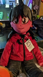 Size: 2160x3840 | Tagged: safe, artist:lavim, photographer:lightningbolt, human, equestria girls, g4, clothes, commission, equestria girls-ified, fall out boy, high res, hoodie, irl, male, pants, pete wentz, photo, plushie, shoes, smiling, solo